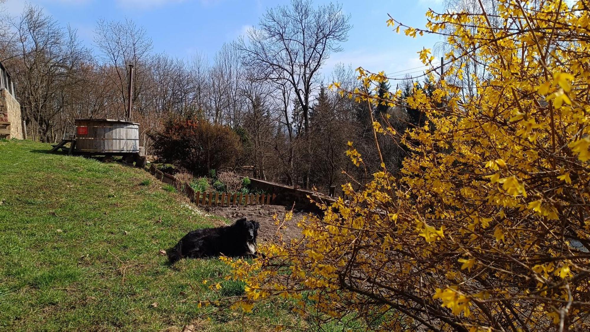 Agroturystyka Pod Swierkiem Srebrna Góra Exterior foto